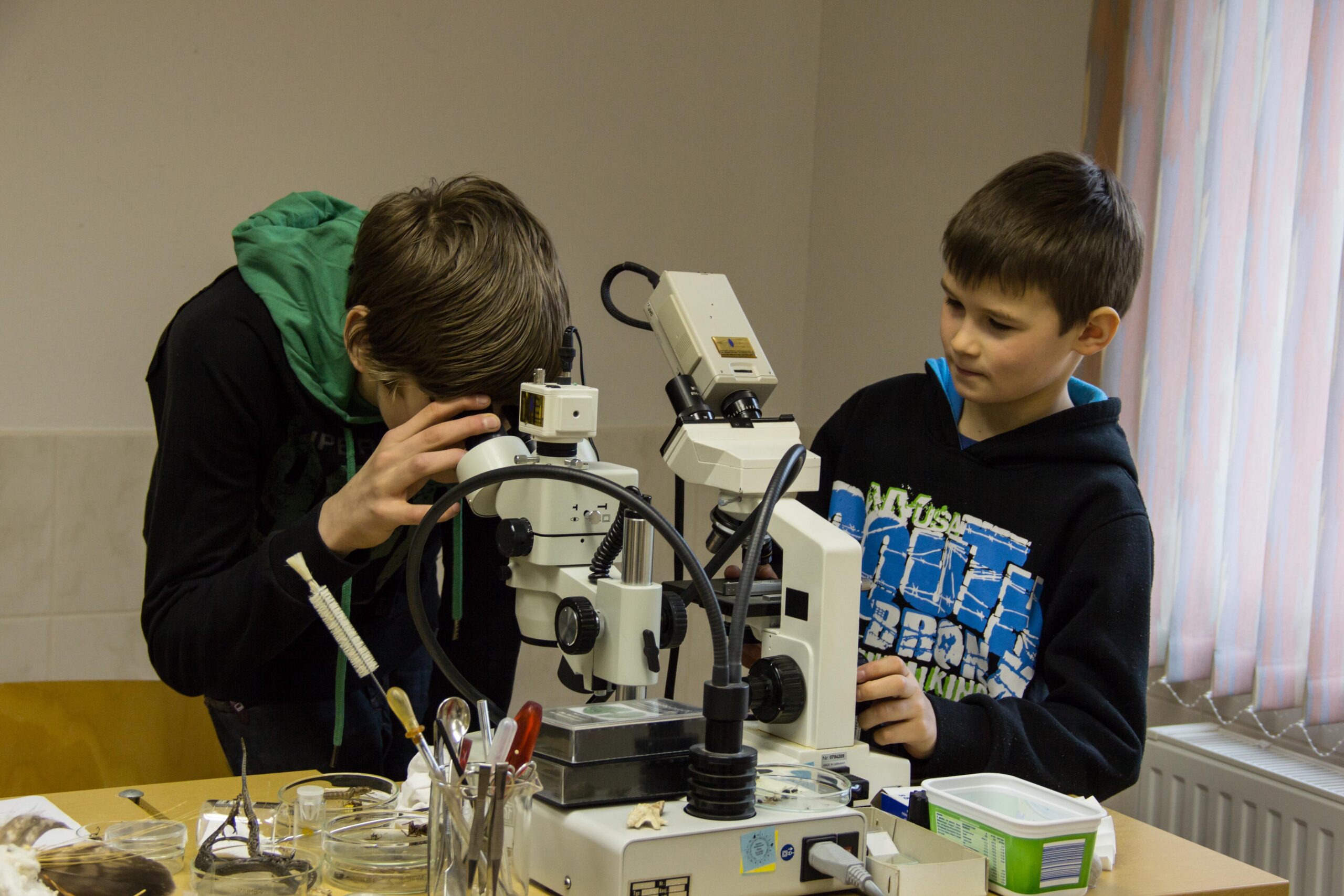 Ökolabor Wald im Schullandheim Eurohof Hainewalde