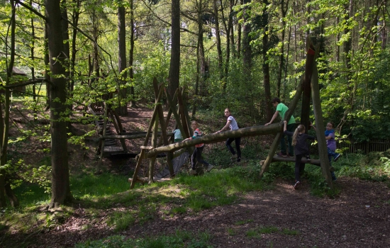 Entdeckungen im Wald - Angebote für Schulklassen im Schullandheim Hainewalde