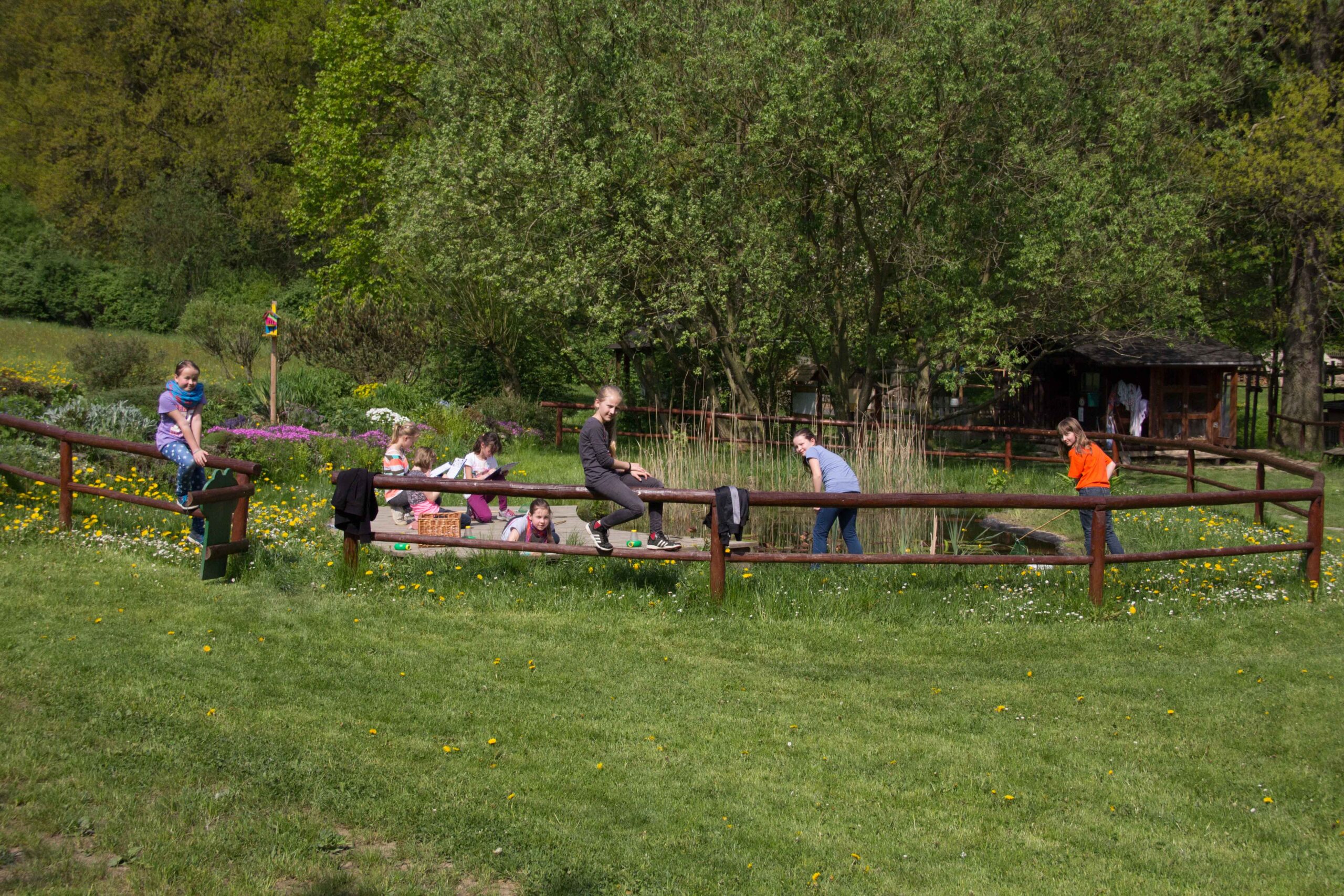 Labor Teich 2 - Schullandheim-Eurohof-Hainewalde