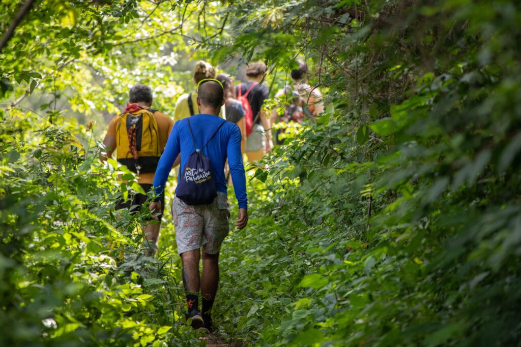 Entdeckungen im Wald:<br />
Angebote für Klassenfahrten (Foto: Pexels / Ravena Lages)<br />
