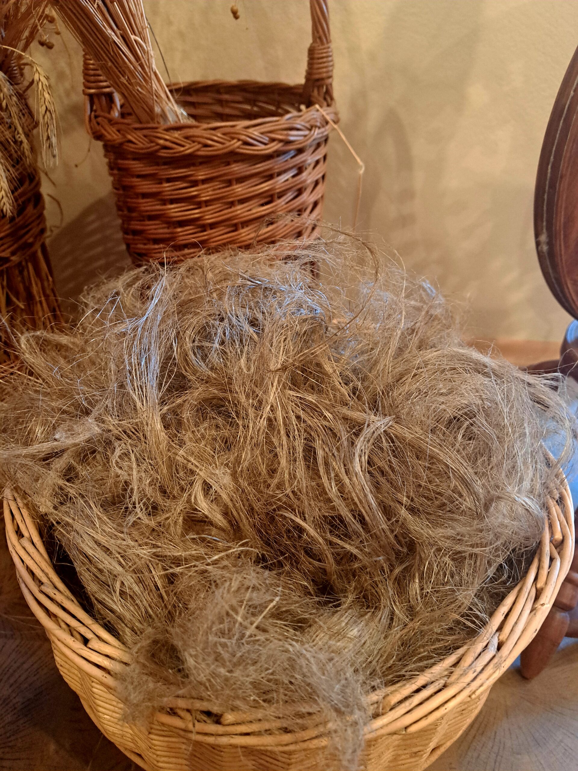 Schullandheim-Exkursionen in den Wald</p>
<p>Niemand kennt den Wald wie er. Jeder Baum, jeder Fuchsbau ist ihm bekannt. Streift man mit einem Förster durch den Wald, erfährt man unglaublich viel und sieht plötzlich Dinge, die man sonst gar nicht beachtet hätte.<br />
