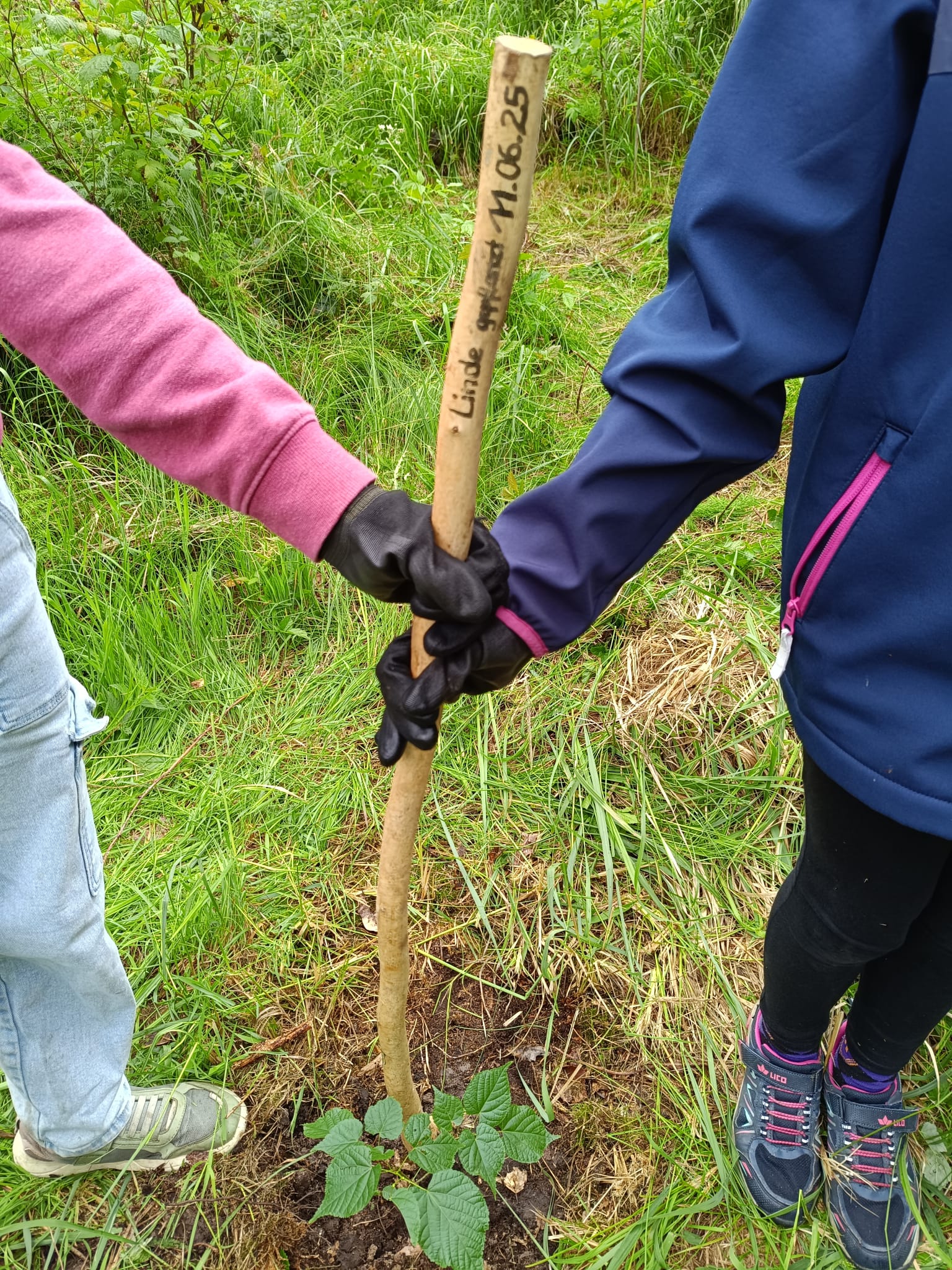 4 Schullandheim-Exkursionen in den Wald</p>
<p>Niemand kennt den Wald wie er. Jeder Baum, jeder Fuchsbau ist ihm bekannt. Streift man mit einem Förster durch den Wald, erfährt man unglaublich viel und sieht plötzlich Dinge, die man sonst gar nicht beachtet hätte.<br />