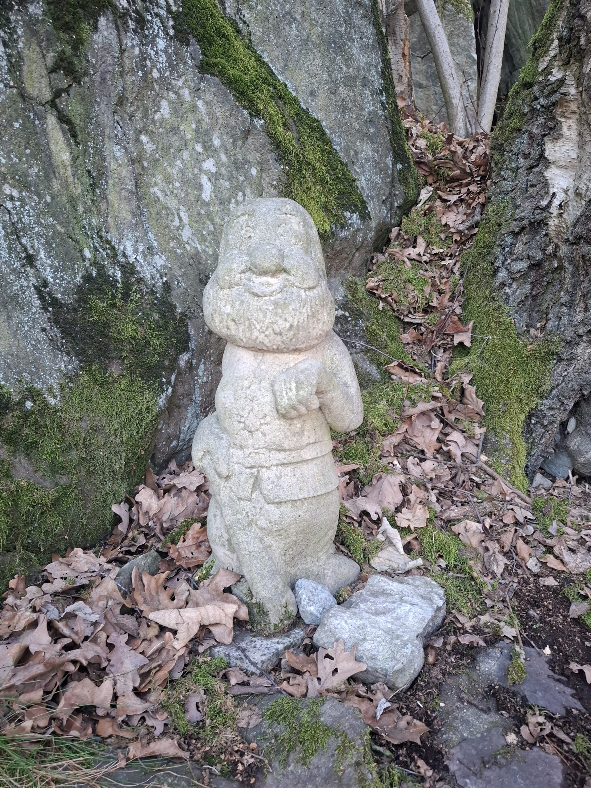 Entdeckungen im Wald: Angebote für Klassenfahrten (Foto: Pexels / Ravena Lages)